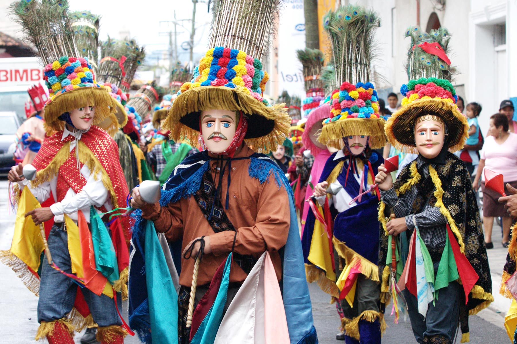 Cultura toro huaco carazo